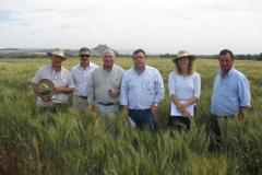 2. Visita ensayos F4