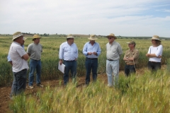 3. Visita ensayos