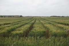 4. Panoramica F3