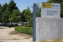 1. Entrada