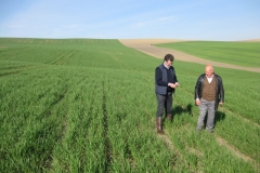 1. Campo de Don Jose