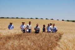 11. Visista ensayo maduro