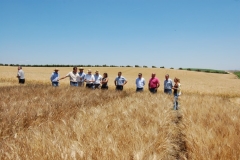 12. Visita SAT-Agrovegetal