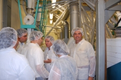 17. Visita semolera de Gallo