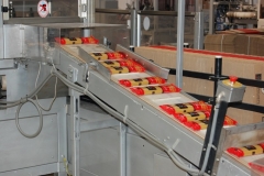 24. Espagueti envasado