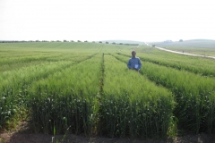 6. Ensayo Cordoba 09