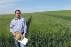 8. TDA 2011 Superamarillo