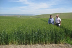 9. DON RICARDO en SAT