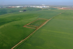 001. Panoramica 2008