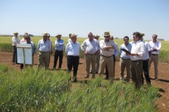 13. Explicaciones Antonio Lopez