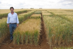 19. Postcontrol de Pewter y Don Ricardo