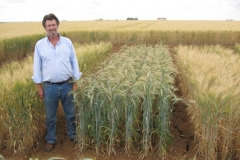 20. Post control de Imperioso