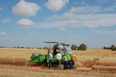 24. Campo de Ensayos 09 001