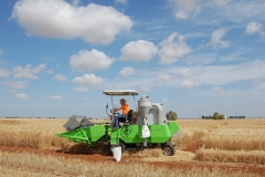 25. Campo de Ensayos 09 003