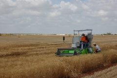 26. Campo de Ensayos 09 020