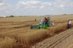 27. Campo de Ensayos 09 024