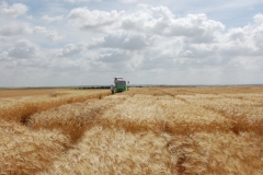 28. Campo de Ensayos 09 034