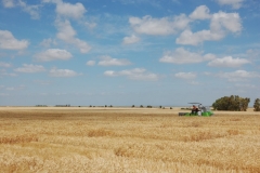 30. Campo de Ensayos 09 050