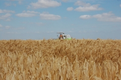 31. Campo de Ensayos 09 056