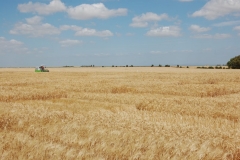 32. Campo de Ensayos 09 064