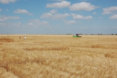 34. Campo de Ensayos 09 077