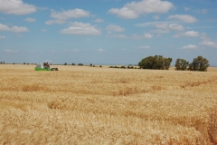 35. Campo de Ensayos 09 088