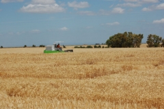 36. Campo de Ensayos 09 096