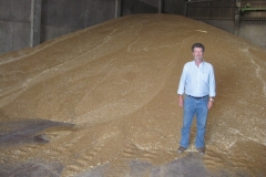 38. Montan de semilla JEREZANO