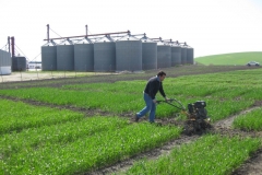 1. Cortando pasillos