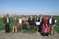 10. Consejo en ensayos 2