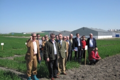 11. consejo en San Dionisio