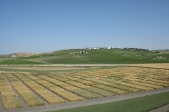 18. Panoramica 09