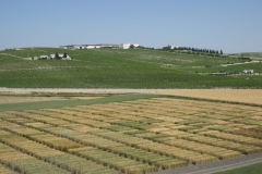 19. Panoramica Ensayos San Dionisio