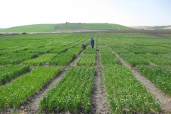 2. repasando pasillos