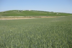 20. Tejada tremesino