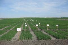 4. Carteles para visita Duros