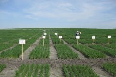 5. Carteles para visita Blandos