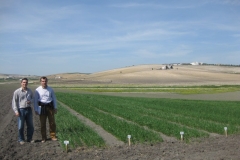 7. Bandas de promocion