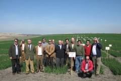 9. Consejo en ensayos