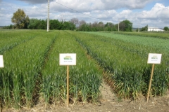 14. Don Jaime y Don Juan