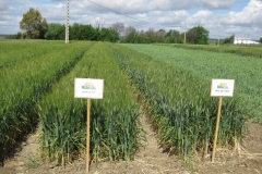 15. Don Juan y Don Ricardo