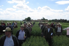 16. Agricultores visitando ensayos 2
