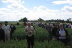 16. Agricultores visitando ensayos