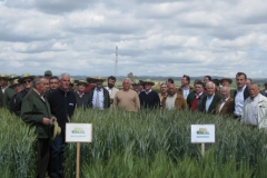 18. Bondadoso e Imperioso