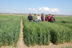 2. Tecnicos Agrovegetal 09 2