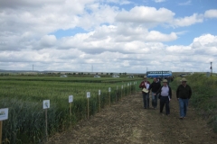 20. Bandas de promocion