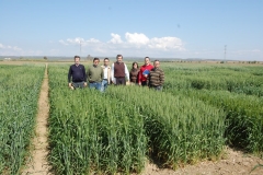 3. Tecnicos Agrovegetal 09 3
