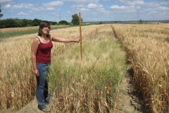 35. Midiendo Alturas