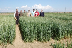 4. Bondadoso y tecnicos