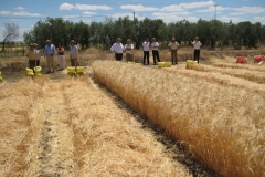 52. Banda de DON JOSE